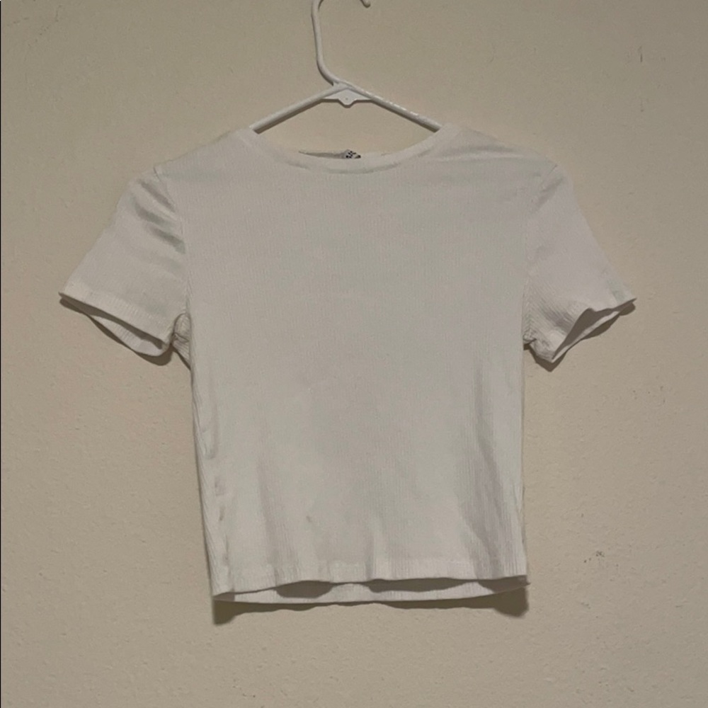 Divided cropped t shirt